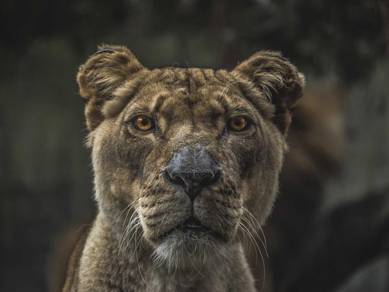 Betty and her team at work