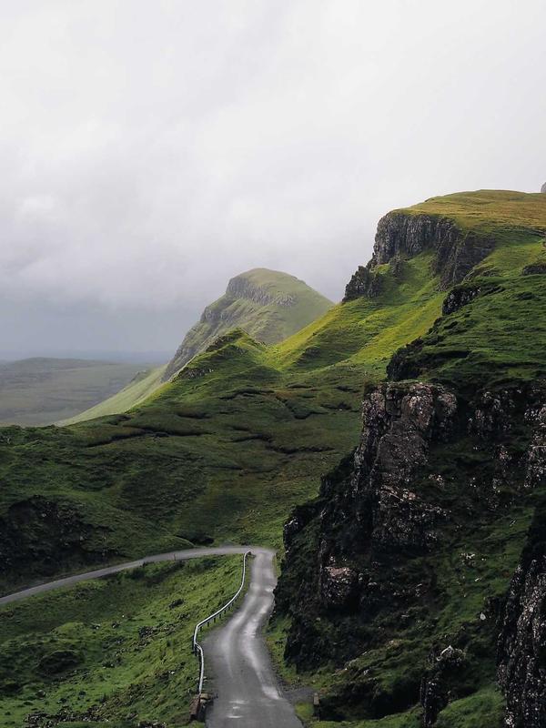 Elegant bridal bouquet with roses and eucalyptus